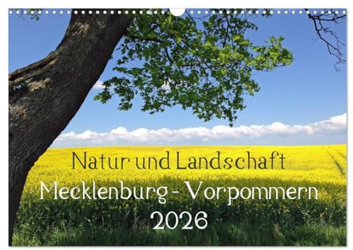 Natur und Landschaft Mecklenburg - Vorpommern 2026 (Wandkalender 2026 DIN A3 quer), CALVENDO Monatskalender: Typische Landschaften in Norddeutschland (CALVENDO Natur)