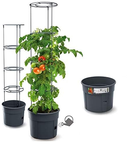 rgvertrieb Blumentopf Tomatentopf Topf für Tomatenpflanzen Tomatenzüchter Pflanzen-Aufzucht-Turm mit Rankhilfe Rangitter (Ø 300)