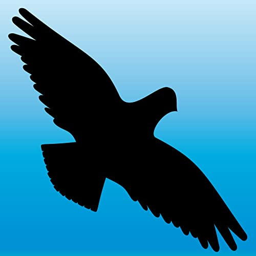 Sticker 25 cm Warning Bird of Prey Bird Window Protection Tattoo Decorative Film (Black)