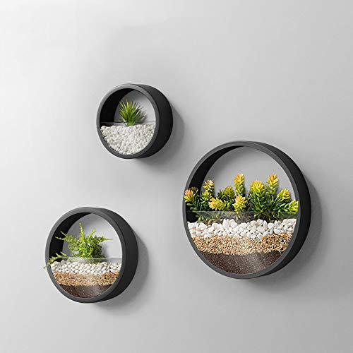 Moderne schwarze Metall-Wandvase, hängende Pflanzgefäße für Sukkulenten, Kakteen, Spinnenpflanzen und Luftpflanzen, stilvolle Heimdekoration, 3 Stück