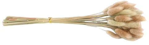 KIMISS Hierba de Cola Seca - Paquete de Hierba Seca Natural para Bodas, Decoración del Hogar, Arreglos Florales, Accesorios de Fotografía
