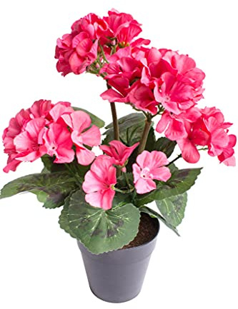Botanic-Haus künstliche Geranie (Geranienbusch) mit 5 Blütenköpfen im schwarzen Kunststofftopf (pink)