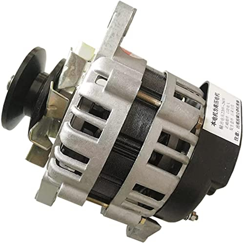 MYENA Generatore Permanente del Magneto, Motore della Famiglia di Tensione costante Senza Spazzola, alternatore di Illuminazione Domestica del Nucleo di Rame Piccolo alternatore,220v 1500w