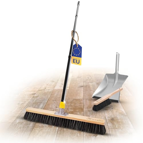 Novaliv Grand balai de 60 cm avec manche, poils, mélange de poils et balayette galvanisée avec lèvre en caoutchouc composée d'une pelle et d'une balayette, balai fin, balai d'atelier, balai industriel