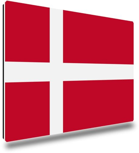 TRIOSK Kühlschrankmagnete Länderflaggen Magnet Flagge Dänemark Reise Souvenir Geschenk für Reiseliebhaber Weltenbummler Kühlschrank stark eckig groß 85x55 mm