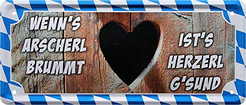 Blechschilder Lustige Bayern Sprüche bayerisch Deko Humor Dialekt Türschild bayrisch München Metallschild Schild Witziges Geschenk zum Geburtstag oder Weihnachten 28x12 cm (Wenns Arscherl)