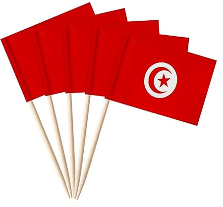 stidsds 100pcs Drapeau National Cure-Dent C (Tunisie)