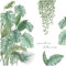 KAIYAYA Stickers Muraux Feuilles,2 Pièces Tropicales Vertes Autocollant Mural Nature Plante Tropical Stickers Muraux Plantes Feuilles Muraux Jungle Couloir,pour Murale Chambre Bureau Mur TV Salon