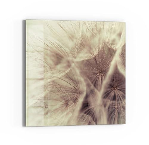 DEQORI Glas-Magnettafel | 30x30 cm cm groß | Motiv Zarter Samenflug | Memo-Board aus Glas | Magnetboard inkl. Magnete, Stift & Tuch für Küche & Büro | Tafel magnetisch & beschreibbar