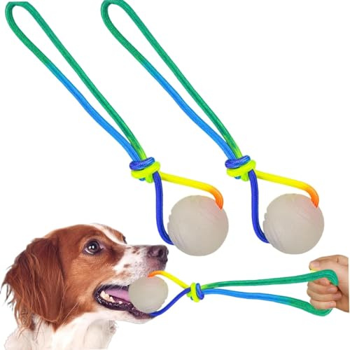 Generisch Pelota para Perros – 2 Piezas de Luminoso para el Cuidado Dental con Cuerda, para Cachorros de Razas pequeñas, Medianas y Grandes, Juego de Interior, estimulación Mental contra el