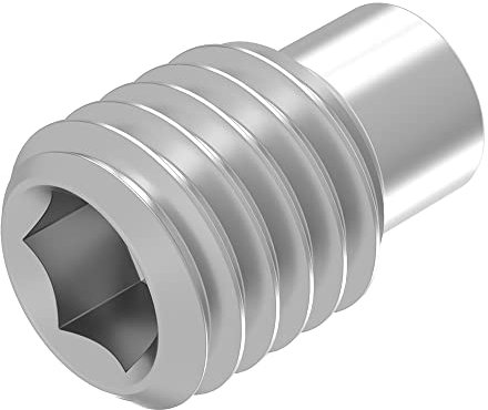 SECCARO Perni filettati con esagono incassato e perno M6 x 10 mm, in acciaio inox V2A VA A2, DIN 915/ISO 4028, 20 pezzi