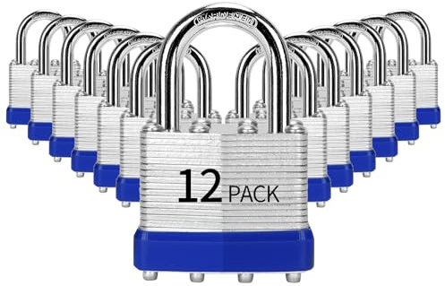 HZSY Lot de 12 cadenas à clé identique en acier laminé (40 mm), cadenas avec même clé, anse normale, pour boîte à outils, casier et unité de rangement ou plus