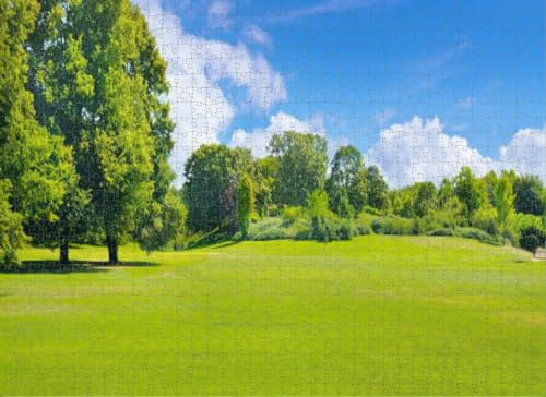 1000 Piece Puzzle for Adults Jigsaw Puzzles Hard Challenging Difficult Family Cool Large Summer Park deciduous Trees and Broad lawns Puzzles for Adults 1000 Pieces