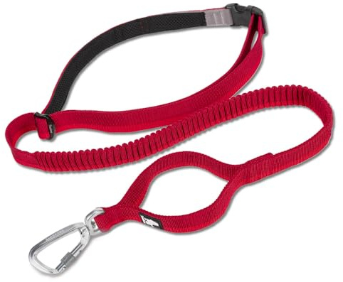 TRUE LOVE Longue Laisse de Chien élastique Mains Libres Ajustable Absorbant Les Chocs TLL2271 (Rouge, L)