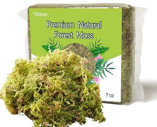 Yilotuce 198g Orchid Moss for Potted Plants, Nice Soilless Potting Soil for Cutting