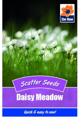 Flower Seeds Daisy Meadow Scatter - 350 Seeds Packet Plant Bedding Borders Containers Pots Grow Your Own Garden Plant Seed