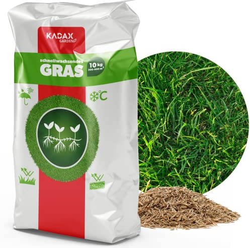 Semi di prato di Kadax, semi di erba, erba in rapida crescita, pellet da prato, semi di prato in rapido mercine, semina sul prato, GrassAat resistente al gelo, prato (10 kg)