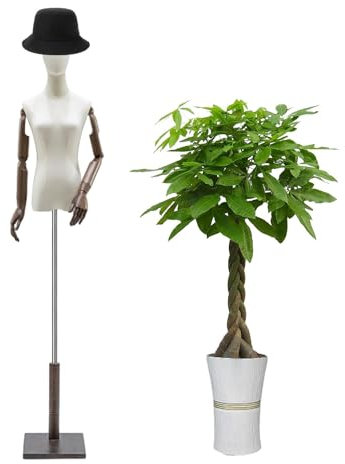 Halbkörper-Mannequin weiblich, Mannequin-Torso mit Ständer - Höhenverstellbare Körperschaufensterpuppe,Schaufensterpuppe mit quadratischem Ständer, Holzarmen und Kopf für die Präsentation von Kleidung