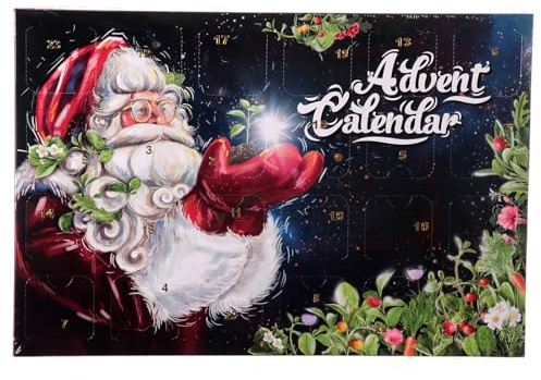 Holyart Calendrier de l'Avent Père Noël 24 graines à Planter avec Serre
