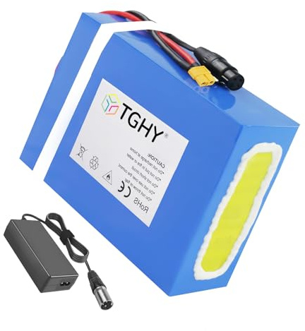 TGHY Batterie pour vélo électrique 60V 40Ah ou 72V 40Ah au Lithium avec Chargeur Rapide, Compatible avec Les Moteurs de vélos, cyclomoteurs et tricycles électriques de 0 à 2900W.,60v40ah