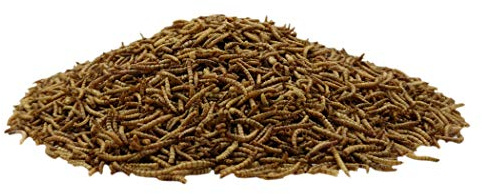 algova vers de Farine séchés - Nourriture Naturelle pour Poissons d'ornement, Oiseaux d'ornement, Tortues et hérissons (10kg)