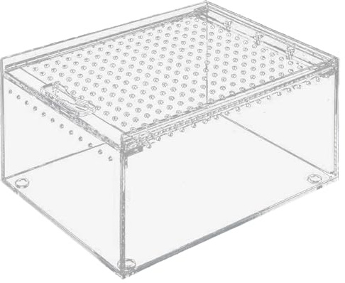 Beimus reptiler livsmiljö terrarium avelsbox akryl reptiler matningslåda arboreal inhägnad skäggig