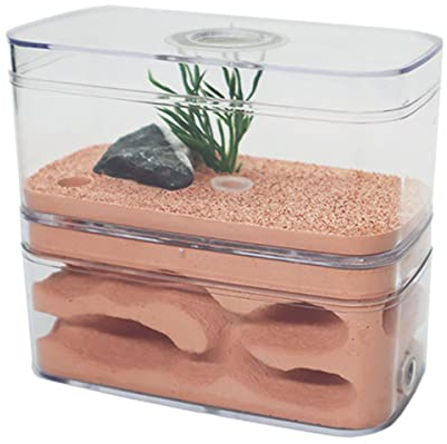 Ameisennest, AntHouse Gips Formicarium Ameisenfarm Display Box Insektenvilla Workshop Ameisen Fütterung Wissenschaft Bildungs