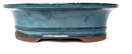 Macetas de cerámica esmaltada para bonsái sin bandejas (azul, 26 cm)
