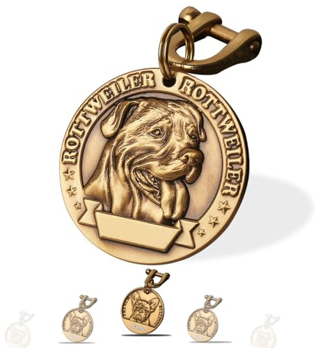 Hundemarke mit Gravur - Hundemarke Personalisiert Gravierter Text auf Beiden Seiten - Messing ⌀35-40mm Dog Tag (Rottweiler)