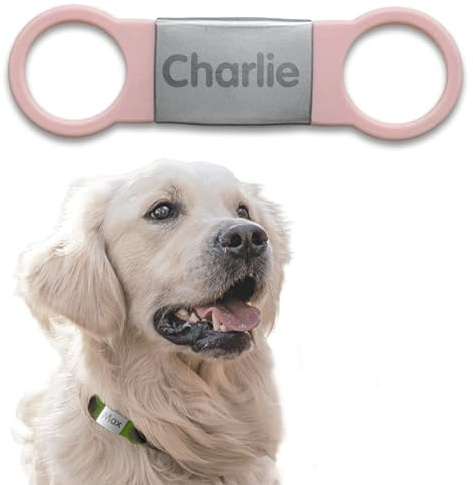 gutmarkiert - Halsband Anhänger für Hund oder Katze - Personalisiert mit dem Namen des Haustieres und Ihrer Telefonnummer