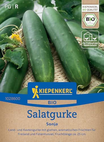 Kiepenkerl Salatgurkensamen Sonja 1028600, Gemüsesaat | Glatte und bitterfreie Gurken, für Freiland und Folientunnel, Wuchshöhe 30-120 cm