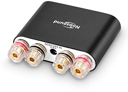 Nobsound NS-10G PRO Stereo Verstärker, Hi-Fi DSP 100W x 2 Bluetooth 5.0 Empfänger, 2.0 Kanal Power Audio Amplifier für Heimlautsprecher Upgrade Version Mini Digitalverstärker (Schwarz)