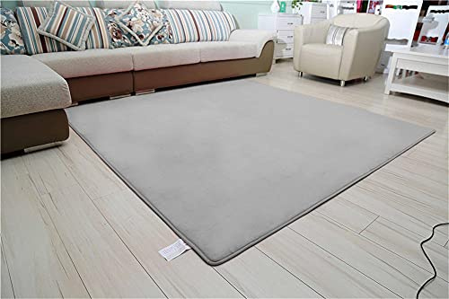 Aoojlo Alfombra de Terciopelo Coral Grueso de Color sólido Calidad Gris Puro Suave Lavable Antideslizante Grande Rugs Rug Minimalista Moderna Sala De Estar Dormitorio Tatami Gateando Estera -60×90cm
