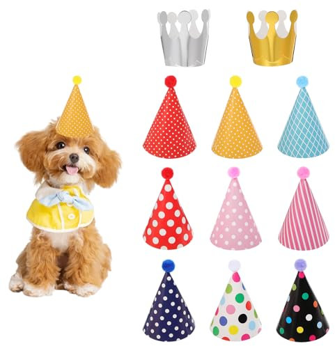 Lot de 11 chapeaux de fête d'anniversaire - Chapeaux de fête colorés - 9 chapeaux de fête avec pompons et 2 couronnes d'anniversaire - Chapeau d'anniversaire pour enfants et adultes - Décoration photo