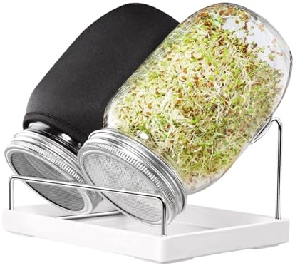 Zktfyshk Broadmouth - Set di barattoli per germinazione da 1 litro, con supporto inclinato per effluente e spazzola per la pulizia, struttura di germinazione gratuita