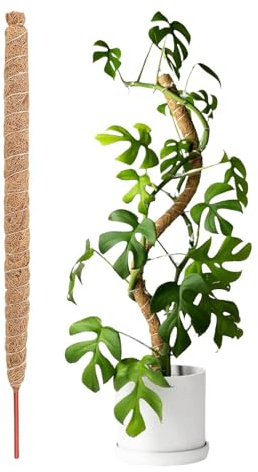 Palo di muschio per piante di vite | Coco Koia Po Stakes Stick Supporto per piante – Bendable riutilizzabile Koiamos Palma Vite Stick per piante, viti, giardini, patio