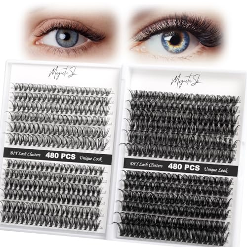 480PCS Wimpern Extensions 60D 80D Volume Wimpernbüschel Wimpern 30D 40D Wimperns Einzeln D Curl Lash Clusters Wimpernbüschel DIY Individuelle Cluster zu Hause(30D-80D, 11-20mm)