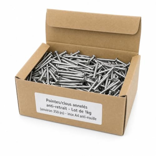 Pointes/clous annelés anti-retrait - Lot de 1kg (environ 350) - inox A4 anti-rouille - Longueur 60 mm - Diamètre 2,5 mm