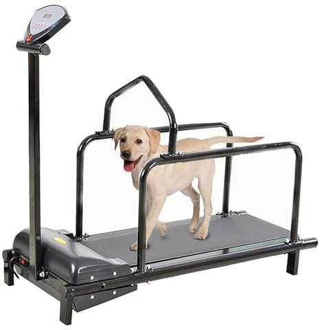 Hunde-Laufband für große und mittelgroße Hunde – Indoor-Trainings-Laufgerät für kleine und mittelgroße Haustiere – ideal für den Heimgebrauch und Fitnesstraining