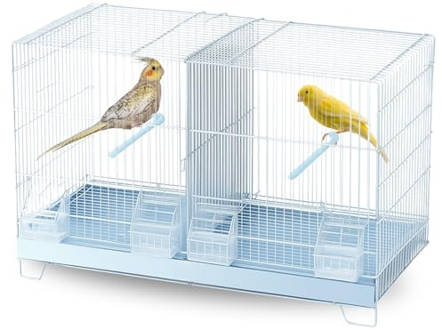 MOLY Jaulón de cría para pájaros 58 x 32 x 37 cm | Jaula Desmontable con Base elevada | Pajarera, Nido Ideal para reproducción y cría de Aves pequeñas
