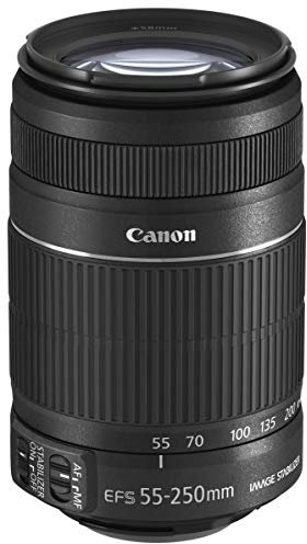 Canon EF-S 55-250mm f/4-5.6 IS II Lens (Renewed)