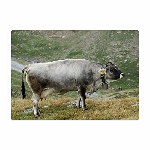 Vero Home 18768 Glas-Schneidebrett | Motiv Tierwelt Berg-Kuh | rutschfest, kratzfest und lebensmittelecht | Maße: 39 x 29 cm