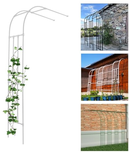 Tonnelle de jardin en fer blanc - Treillage mural pour plantes grimpantes, roses et raisins, design demi-arche en métal durable (220 x 240 x 40 cm)