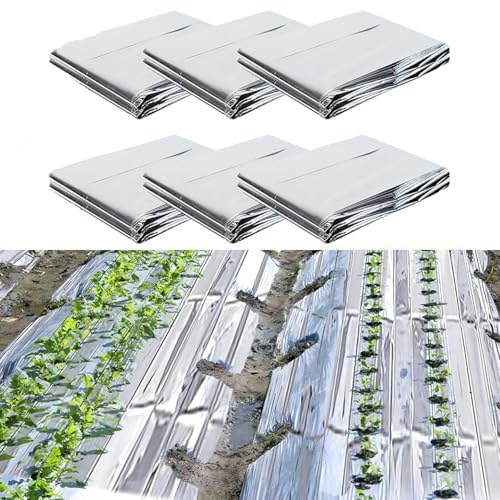 Lansls 10 Pezzi Pellicola Riflettente Per Piante, 160 * 210cm Plant Reflective Film, Pellicola Riflettente In Mylar Argentata, Per Giardino E Serra Miglioramento Della Distribuzione Della Luce E Della