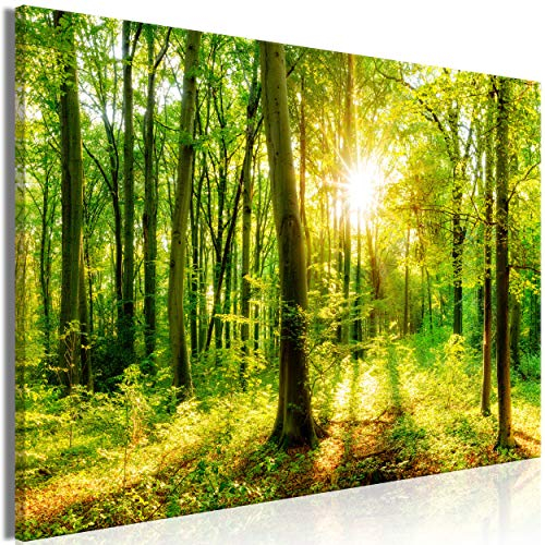 decomonkey | Mega XXXL Bilder Wald Baum | Wandbild Leinwand 160x80 cm Selbstmontage DIY Einteiliger XXL Kunstdruck zum aufhängen | Natur Landschaft grün