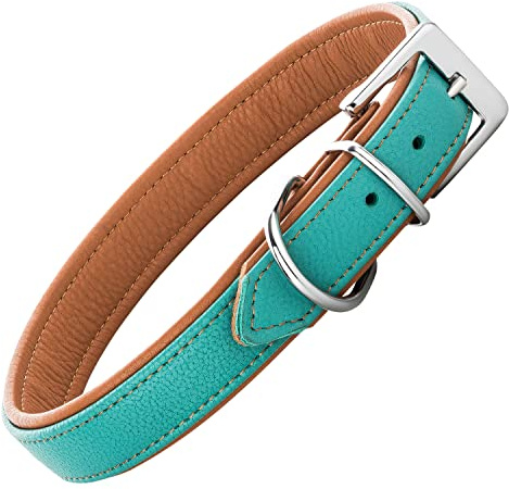 Schnüffelfreunde Lederhalsband Fun Line - Hundehalsband für den großen, mittleren und kleinen Hund - Halsband für Hunde aus Leder - gepolstert & robust (XL - 46-55cm, Türkis-Braun)