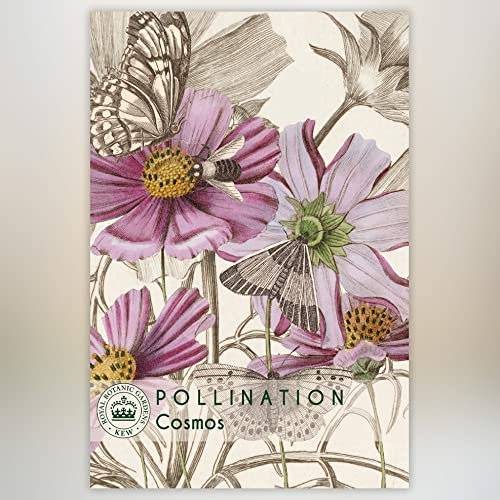 Cosmos bipinnatus Kew Pollination Collection Half-Hardy Annual Garden Wildflower Plant Easy to Grow Your Own 1x Seed Packet (Approx. 200 Seeds) by Thompson and Morgan