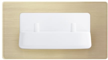 Taps2Traps ProofVision In-Wall Electric Dual Toothbrush Charger, Brushed Brass Finish, 220-240V Compatible with Oral-B and Braun (excluding the iO & Pulsonic series)