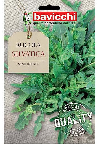 Bavicchi ZRU03 Busta semi Rucola selvatica