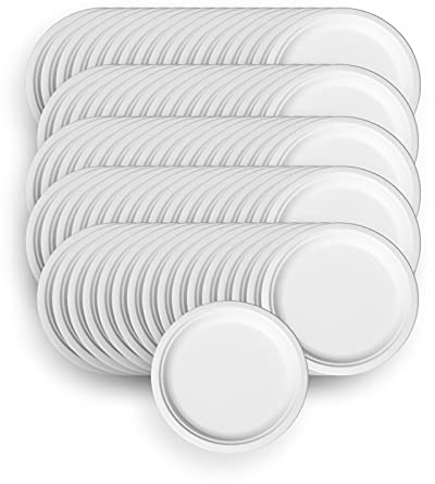 LINARIO® Grillteller - Aus Zuckerrohr ohne Plastik - Umweltfreundlich und nachhaltig - 100 Stück (4 x 25)